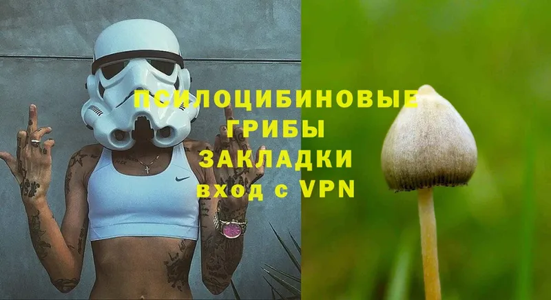 Галлюциногенные грибы Cubensis  Ермолино 